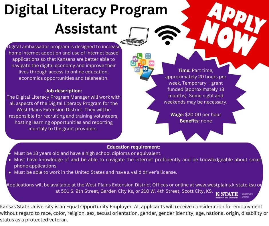 Digital Literacy Program 